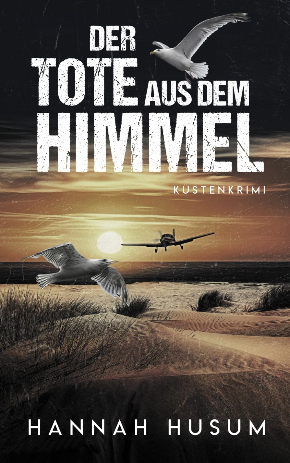 Der Tote aus dem Himmel: Küstenkrimi (Behrens & Winter ermitteln, Band 6) Detective & CSI