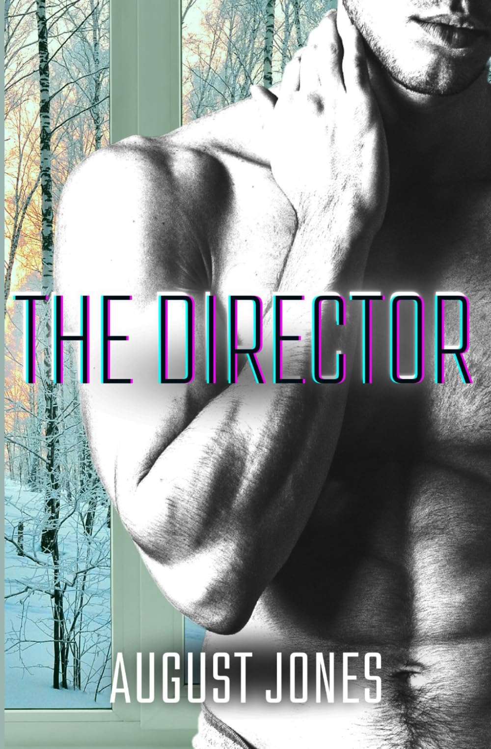 The Director (The Manhandled Series, Band 3) LGBTQ+