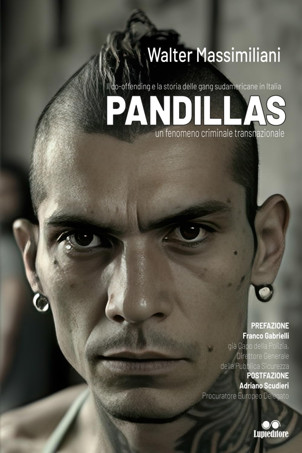 PANDILLAS: Il co-offending e la storia delle gang sudamericane in Italia - un fenomeno criminale transnazionale Law