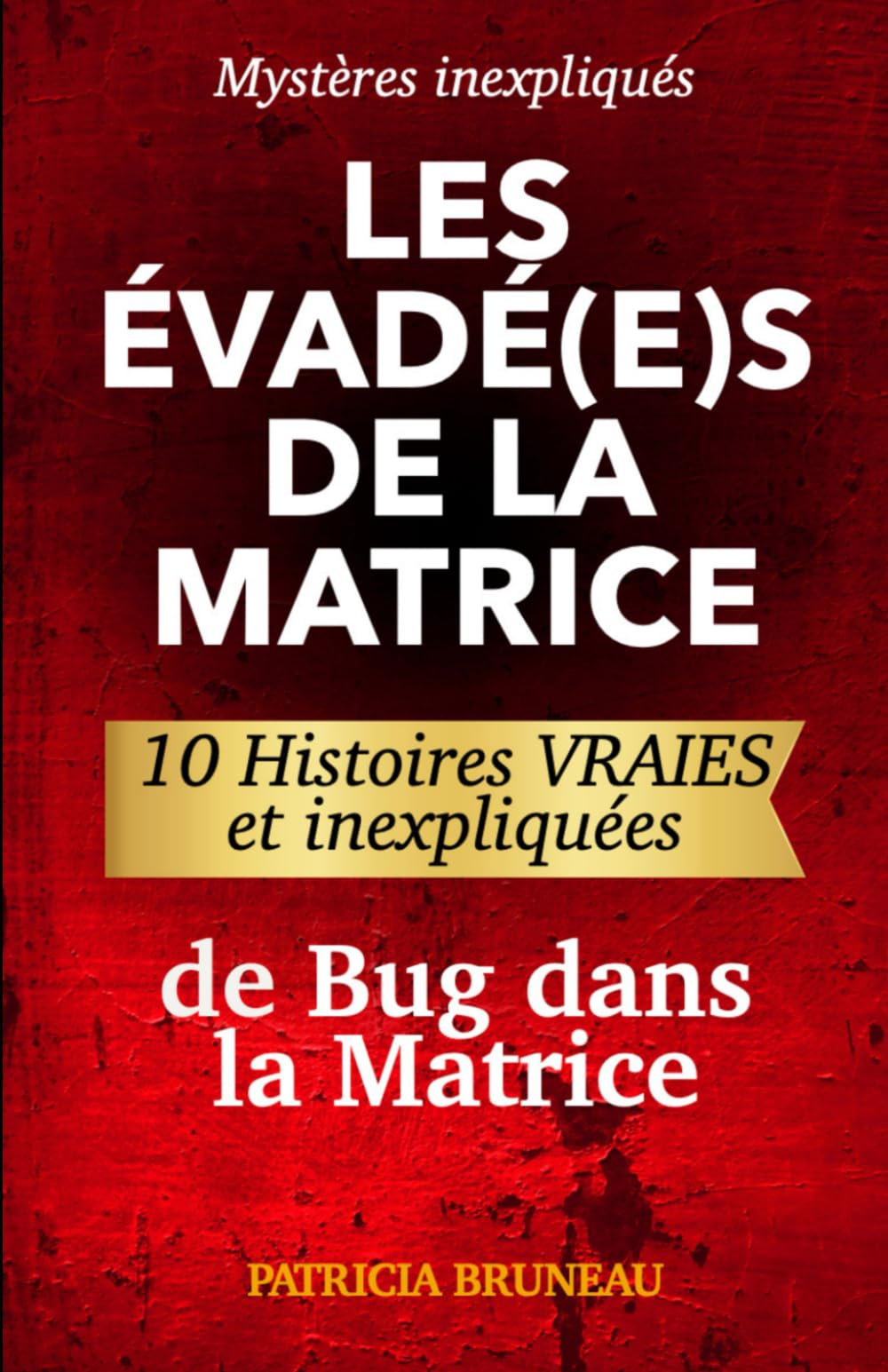 Mystères inexpliqués: Les Évadé(e)s de la Matrice: 10 Histoires vraies et inexpliquées de Bug dans la Matrice book