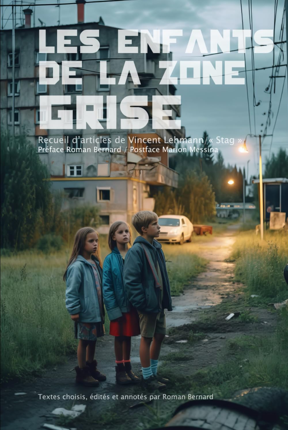 Les Enfants de la Zone grise: Recueil d'articles de Vincent Lehmann, dit Stag book