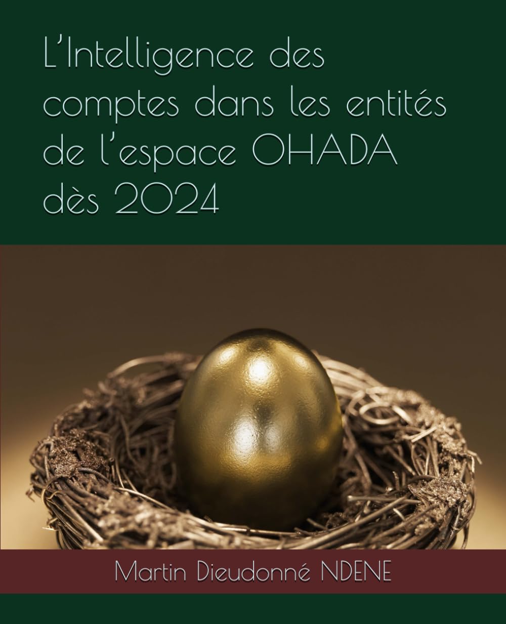 L’Intelligence des comptes dans les entités de l’espace OHADA dès 2024 book