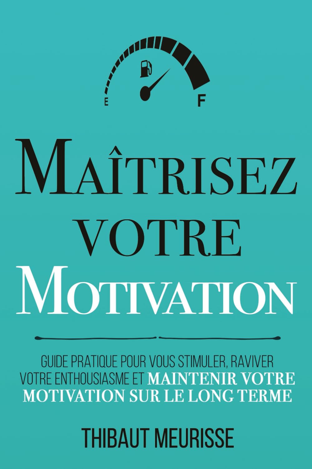 Maîtrisez votre motivation: Guide pratique pour vous stimuler, raviver votre enthousiasme et maintenir votre motivation sur le long terme Business, Finance & Career