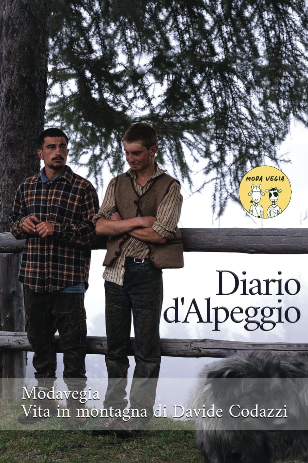 Diario d'Alpeggio: Modavegia Vita in montagna Di Davide Codazzi Books