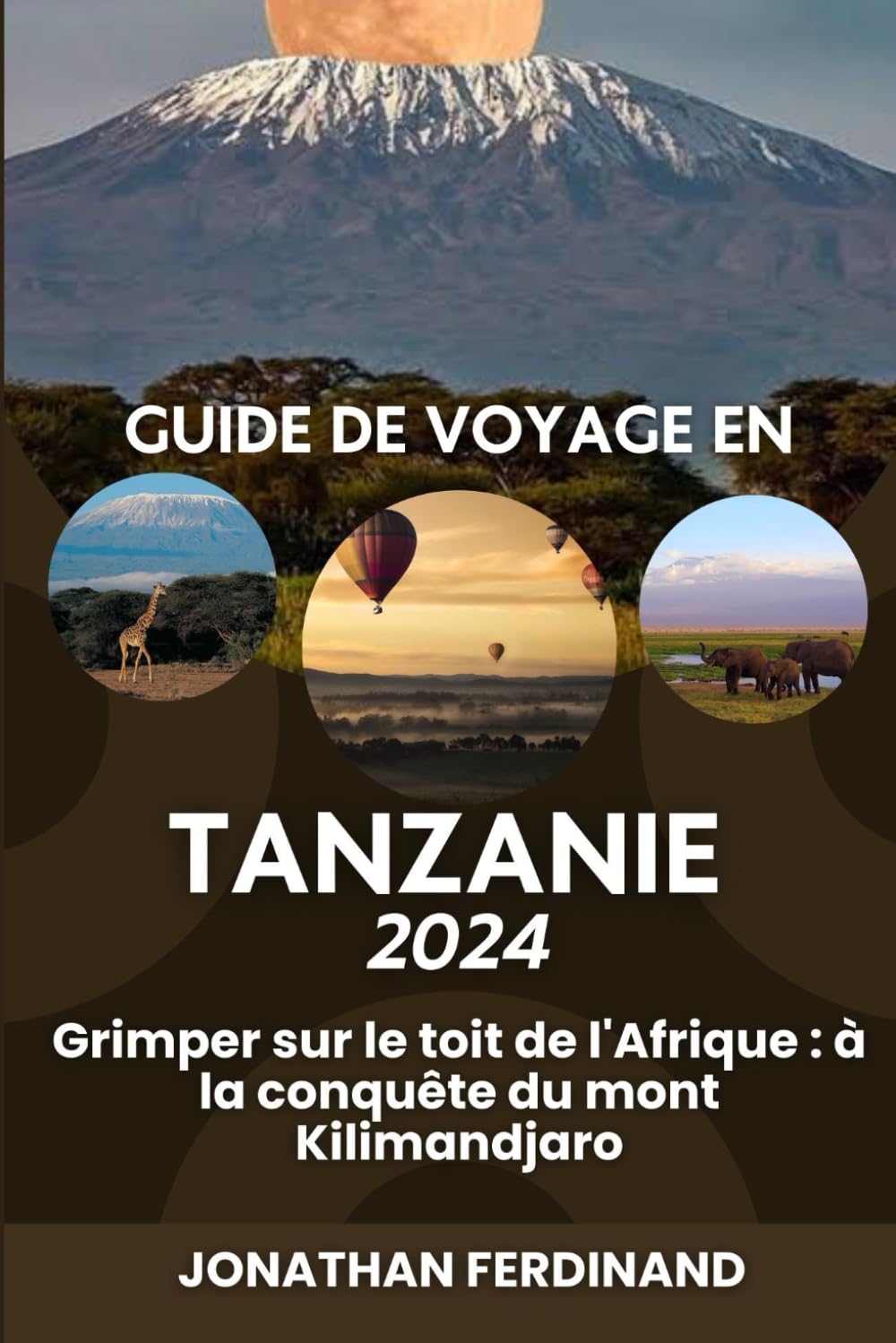 GUIDE DE VOYAGE EN TANZANIE 2024: Grimper sur le toit de l'Afrique : à la conquête du mont Kilimandjaro book