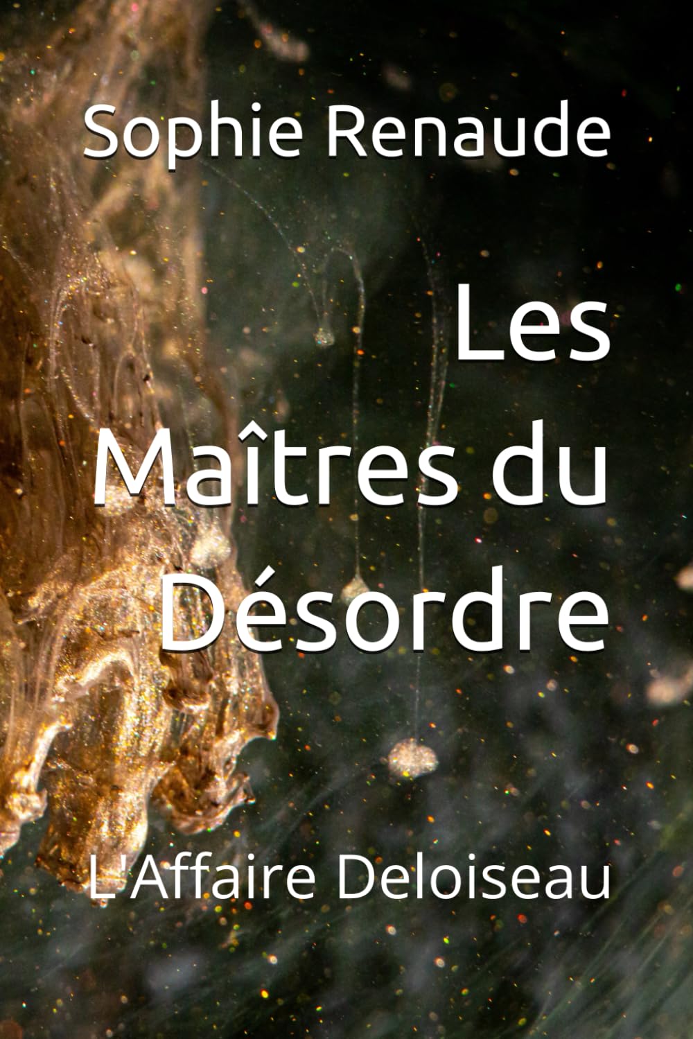 Les Maitres du Désordre: L'affaire Deloiseau (D&D – détectives privés, Band 2) Contemporary literature Books