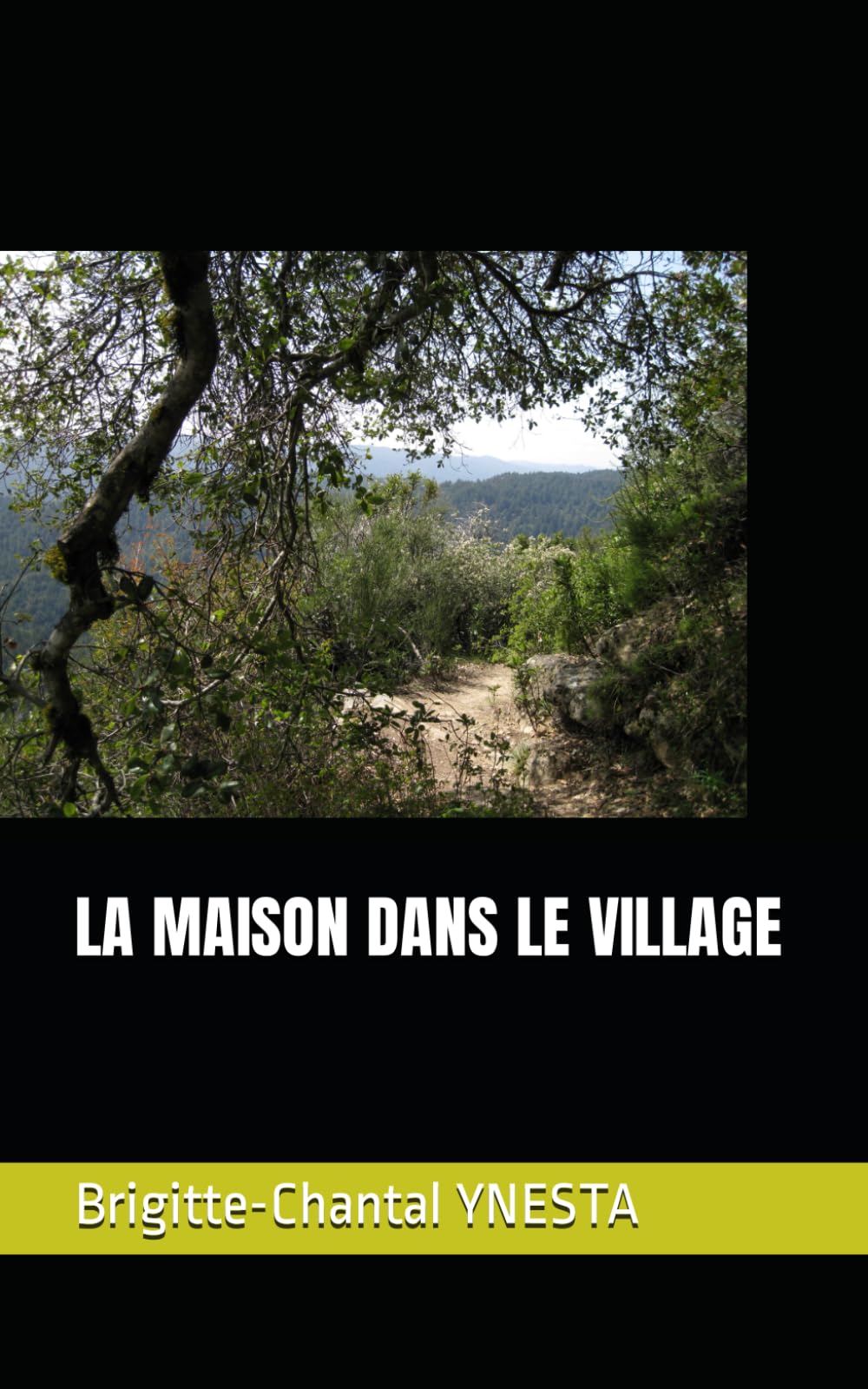 LA MAISON DANS LE VILLAGE book