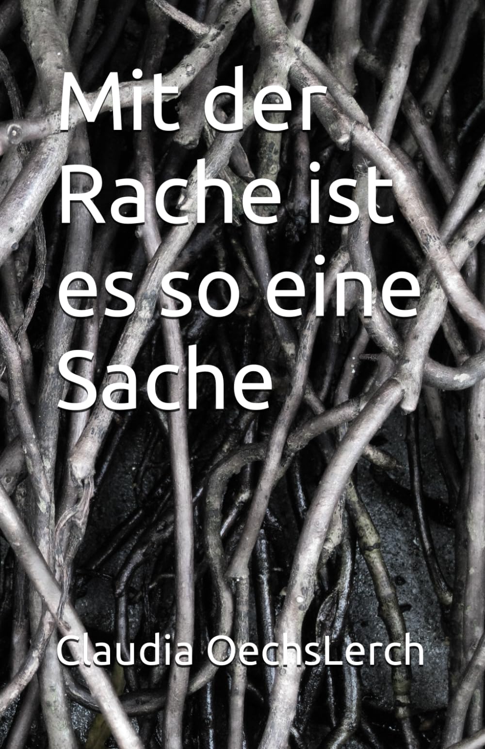 Mit der Rache ist es so eine Sache Contemporary literature