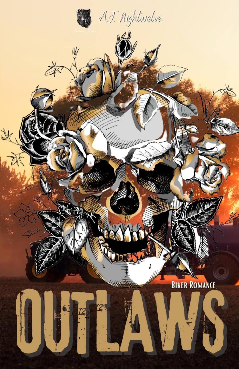 OUTLAWS - Book 13 (Inferno Outlaws MC, Band 13) LGBTQ+