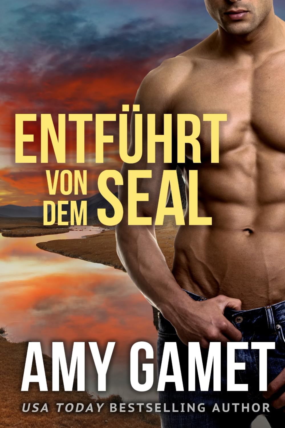 Entführt von dem SEAL (Die HERO Force, Band 8) Romantic Thrillers