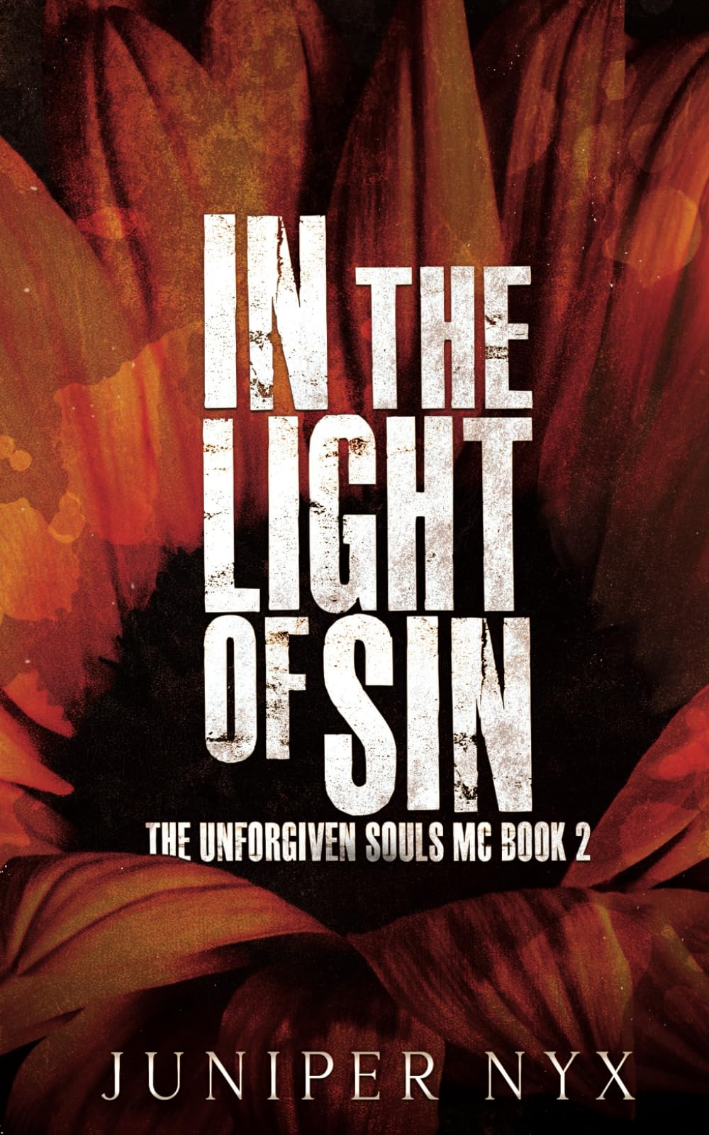 In the Light of Sin: The Unforgiven Souls MC Book 2 book