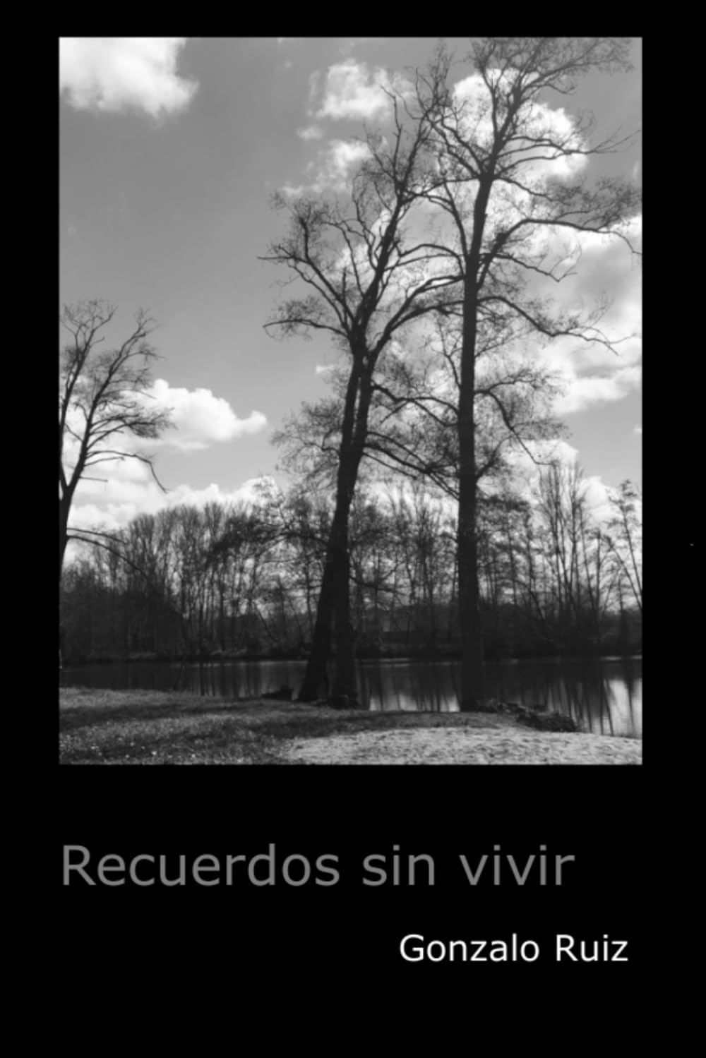 Recuerdos sin vivir (Serie Lucas Torreo, Band 1) Detective & CSI
