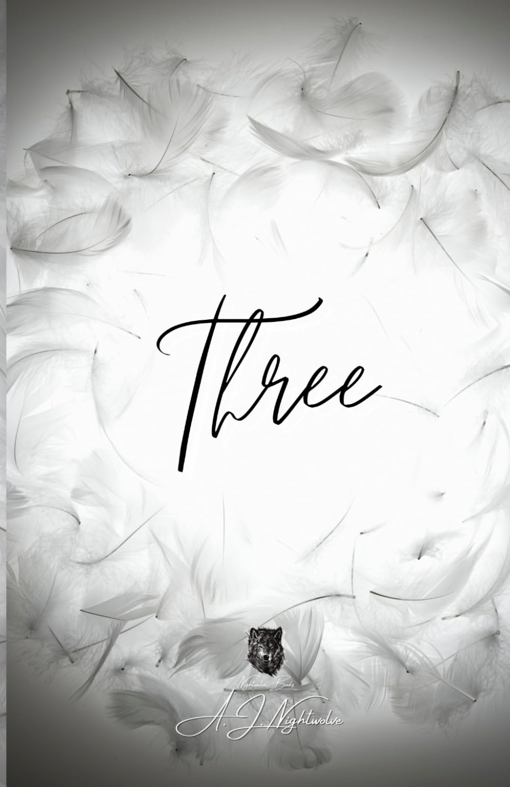Three: Book One (Numbers of Damage, Band 1) LGBTQ+