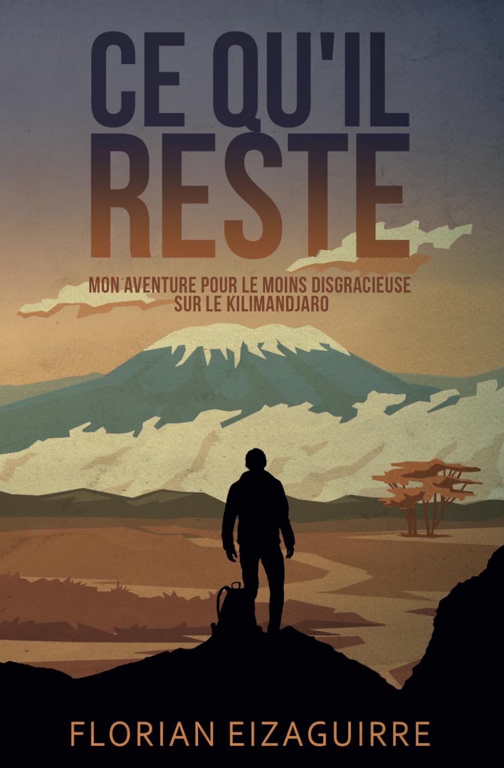 Ce Qu’il Reste: Mon aventure pour le moins disgracieuse sur le Kilimandjaro book