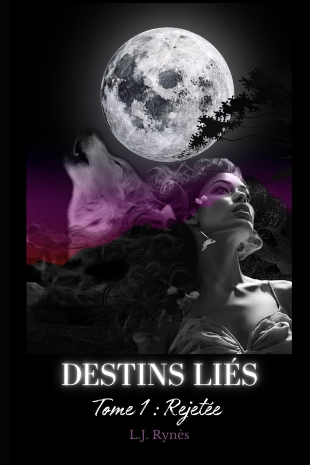 DESTINS LIÉS: Tome 1 - Rejetée book