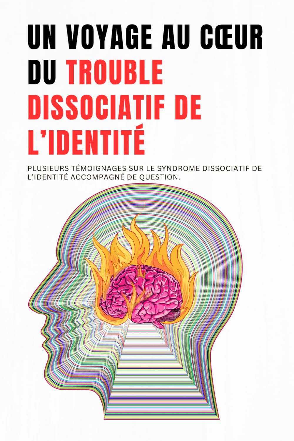 Un Voyage au Cœur du Trouble Dissociatif de l’identité: Plusieurs témoignages sur le syndrome dissociatif de l’identité accompagné de question. Self-help