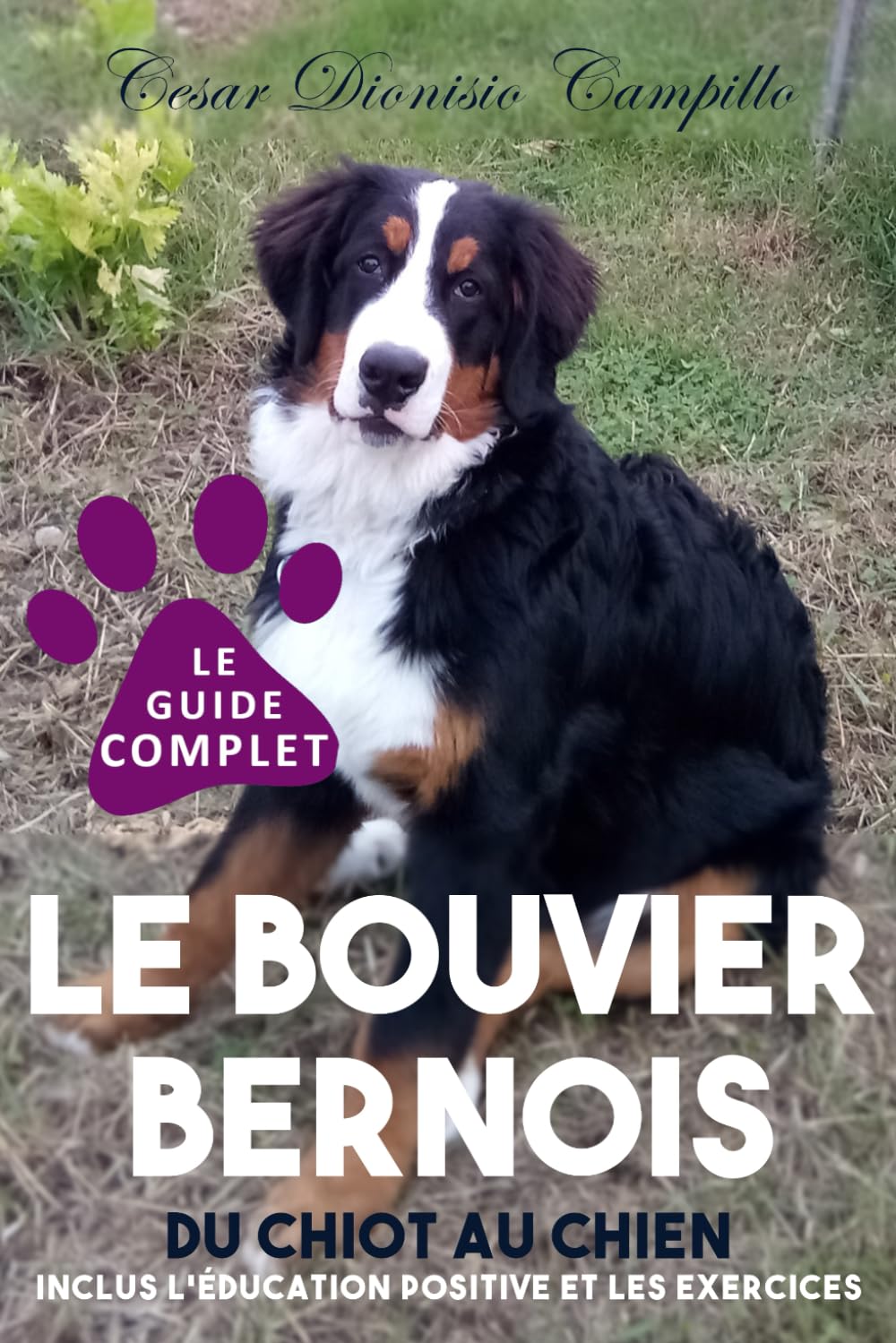 LE BOUVIER BERNOIS: Du chiot au chien : le guide complet (Cesar Dionisio Campillo : Comprendre et Aimer nos Animaux de Compagnie, Band 9) Pets