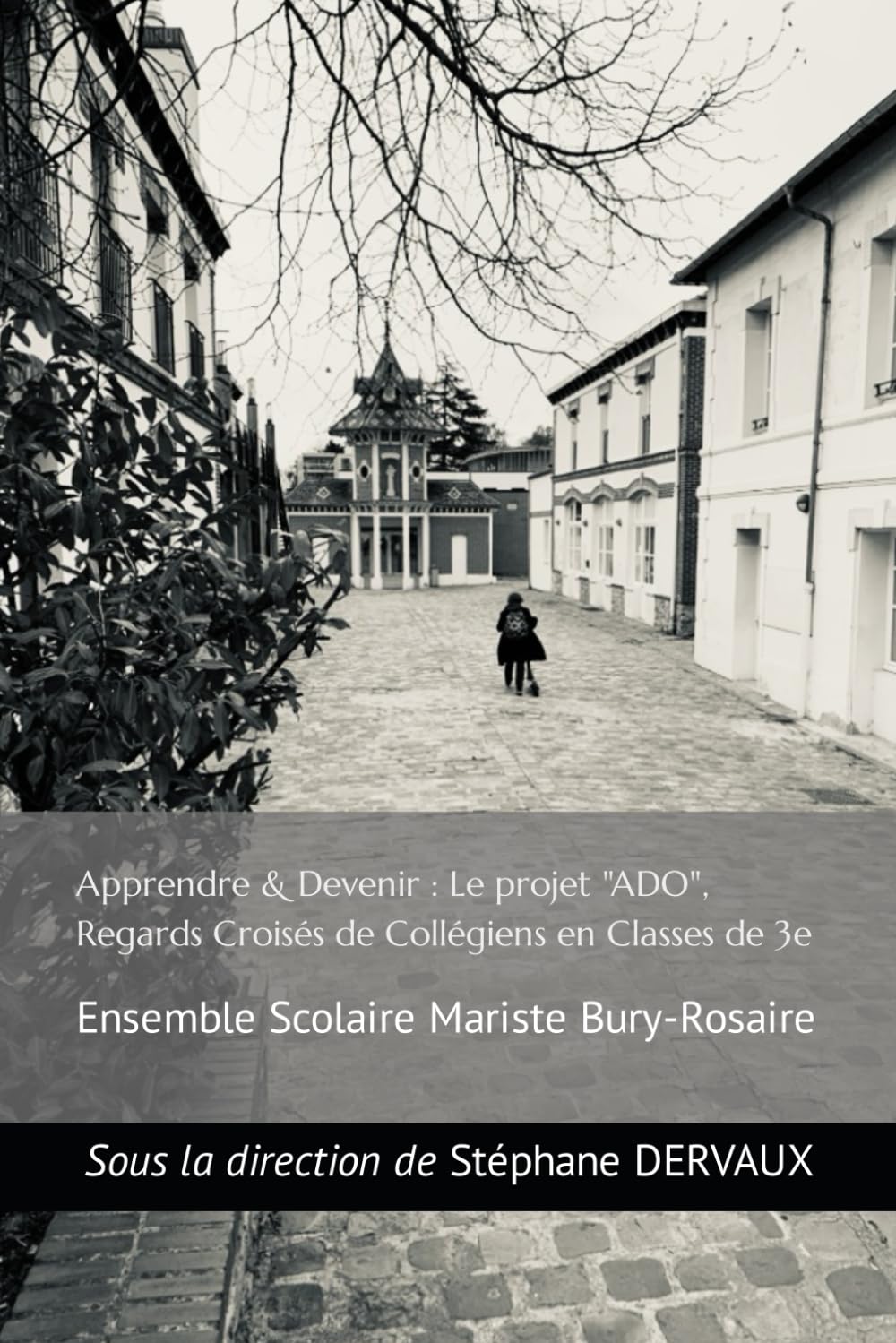 Apprendre & Devenir : Le projet "ADO", Regards Croisés de Collégiens en Classes de 3e: Ensemble Scolaire Mariste Bury-Rosaire book