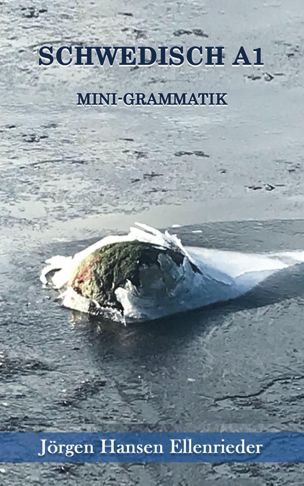 SCHWEDISCH A1: MINI-GRAMMATIK book