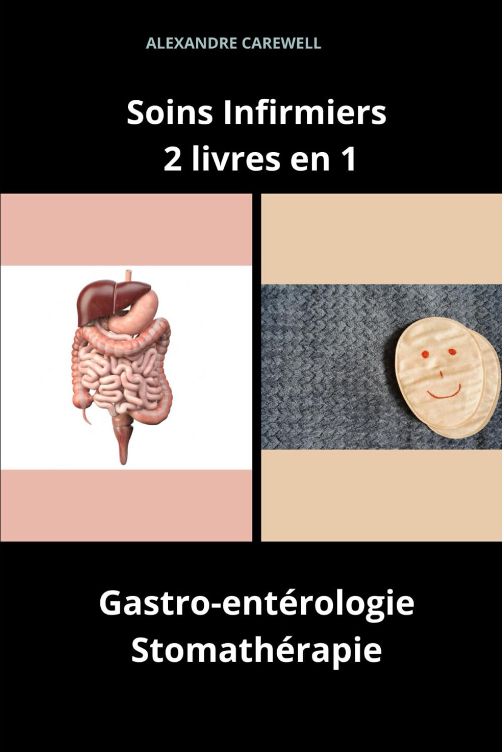 Soins Infirmiers 2 livres en 1 Gastro-entérologie, Stomathérapie book