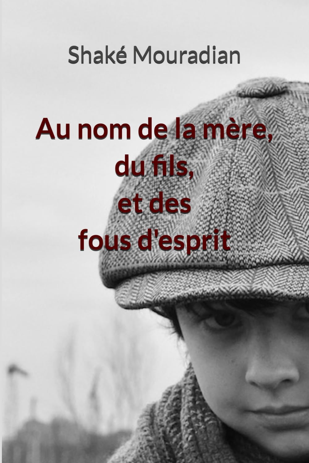 Au nom de la mère, du fils, et des fous d'esprit book