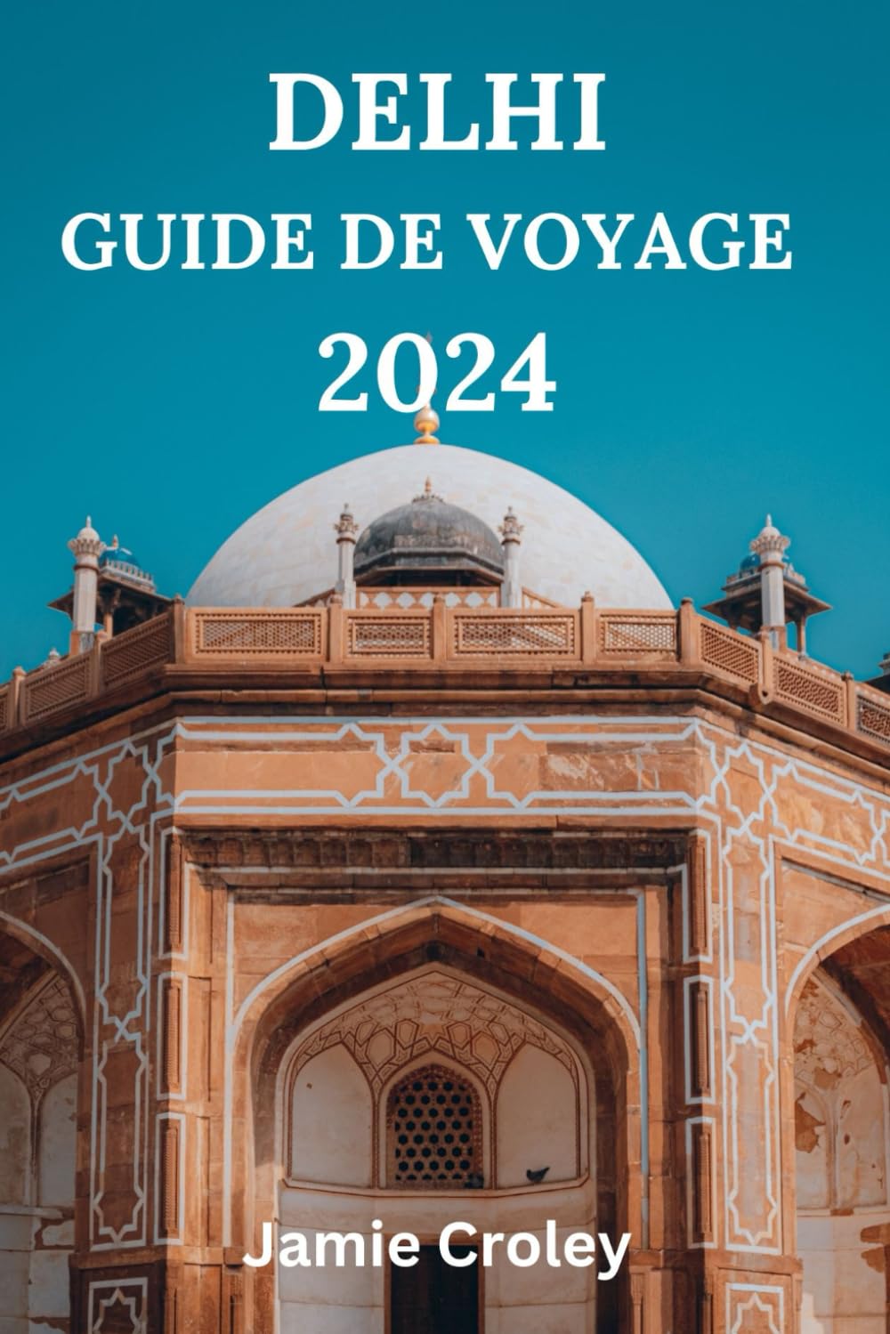 DELHI GUIDE DE VOYAGE 2024: VOTRE COMPAGNON POUR EXPLORER LA CAPITALE DE L’INDE AVEC DES DÉLICES CULINAIRES, DES ATTRACTIONS, HORS DES SENTIERS BATTUS ET AU-DELÀ ( Édition française) book