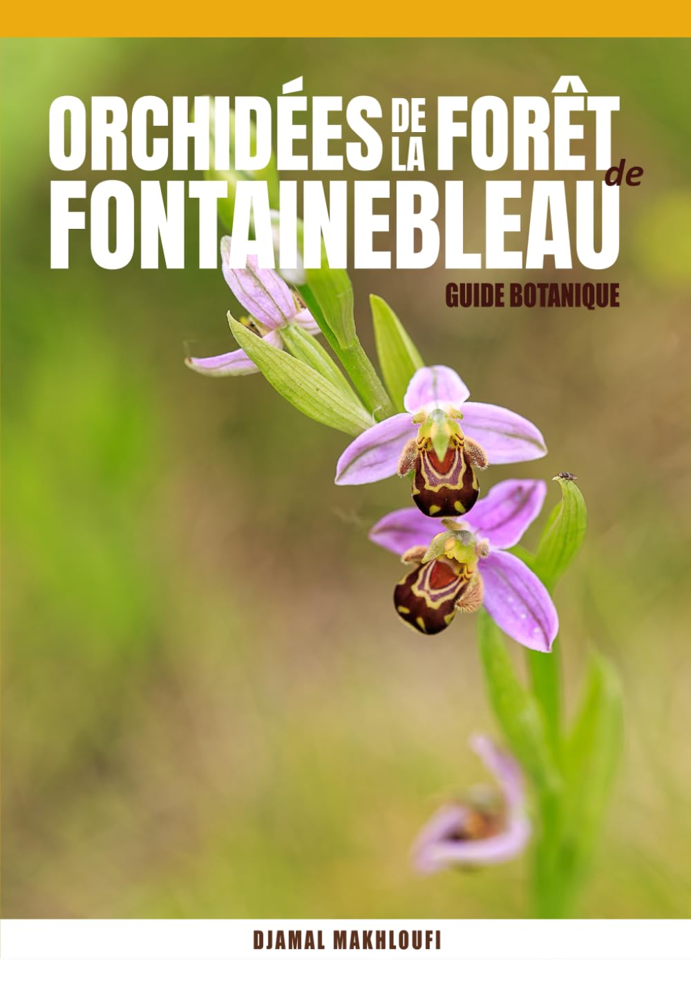 Les Orchidées de la forêt de Fontainebleau (fleurs sauvages d'ïle-de-France) book