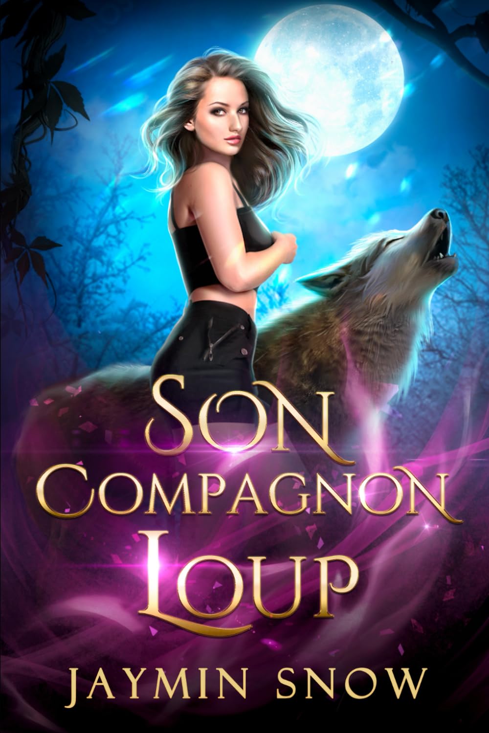 Son compagnon loup: Une romance de métamorphes avec une compagne rejetée book