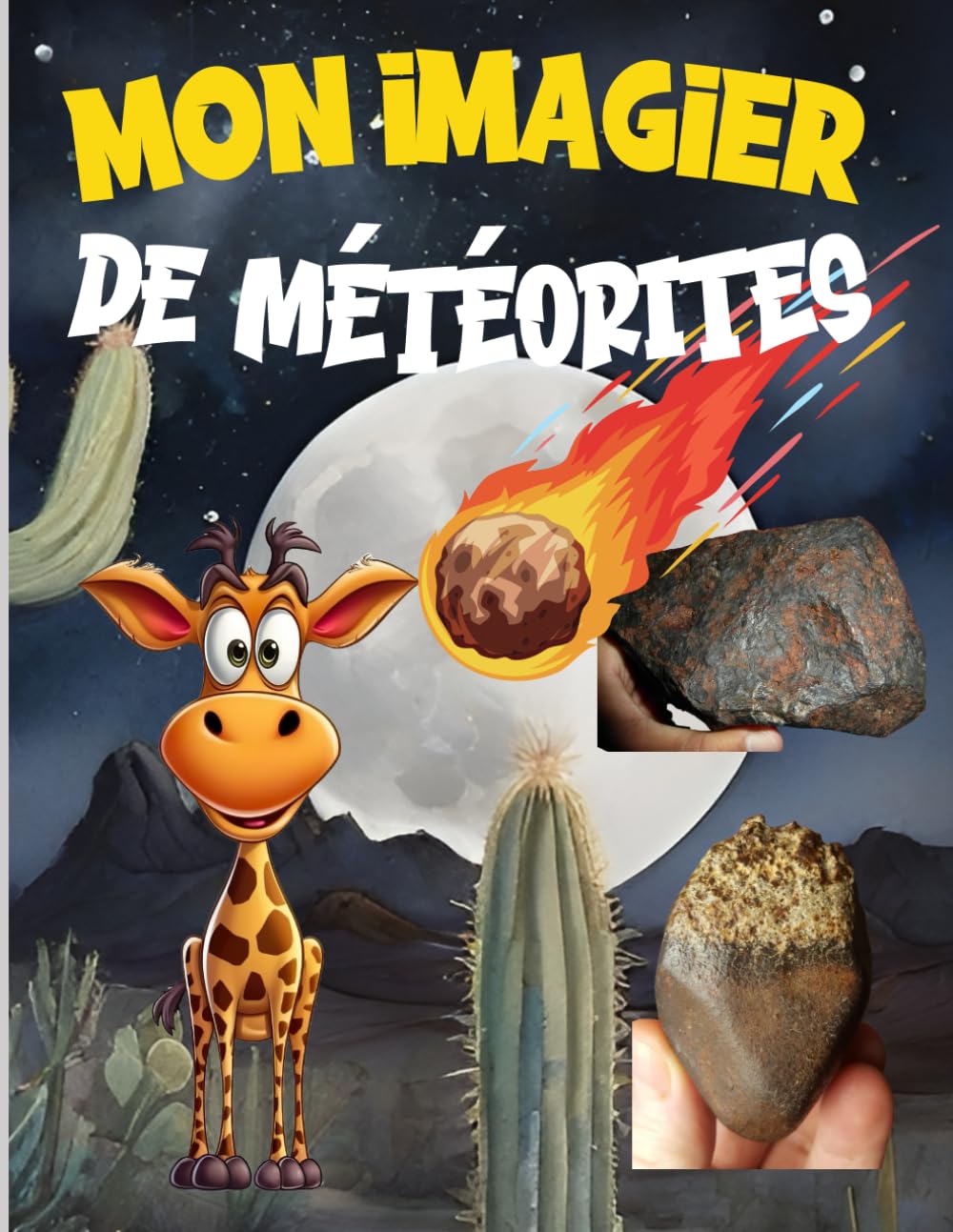 Mon imagier de météorites: Une aventure exceptionnelle ; pour votre enfant ; dans un monde extraterrestre. book