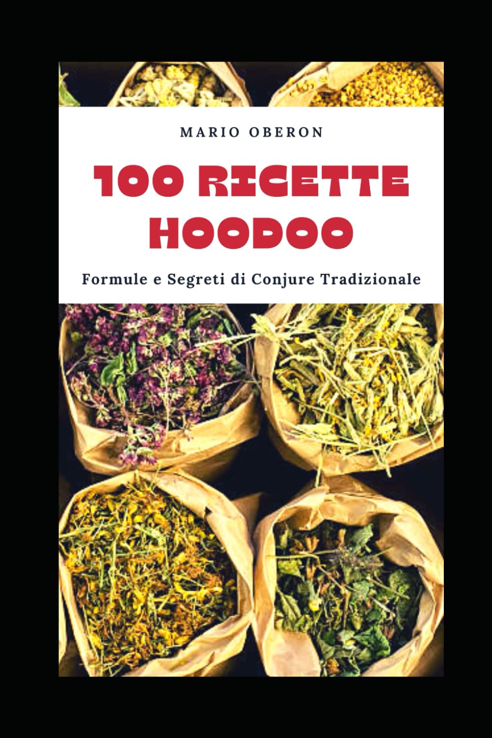 100 RICETTE HOODOO: FORMULE E SEGRETI DI CONJURE TRADIZIONALE book
