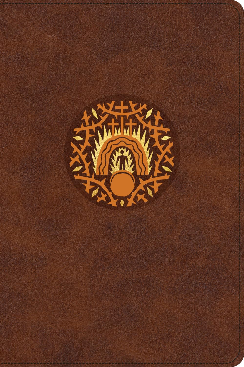 ESV the Biggest Story Holy Bible for Kids (Trutone, Brown, Living Hope Design, Thumb Indexed) Social Sciences