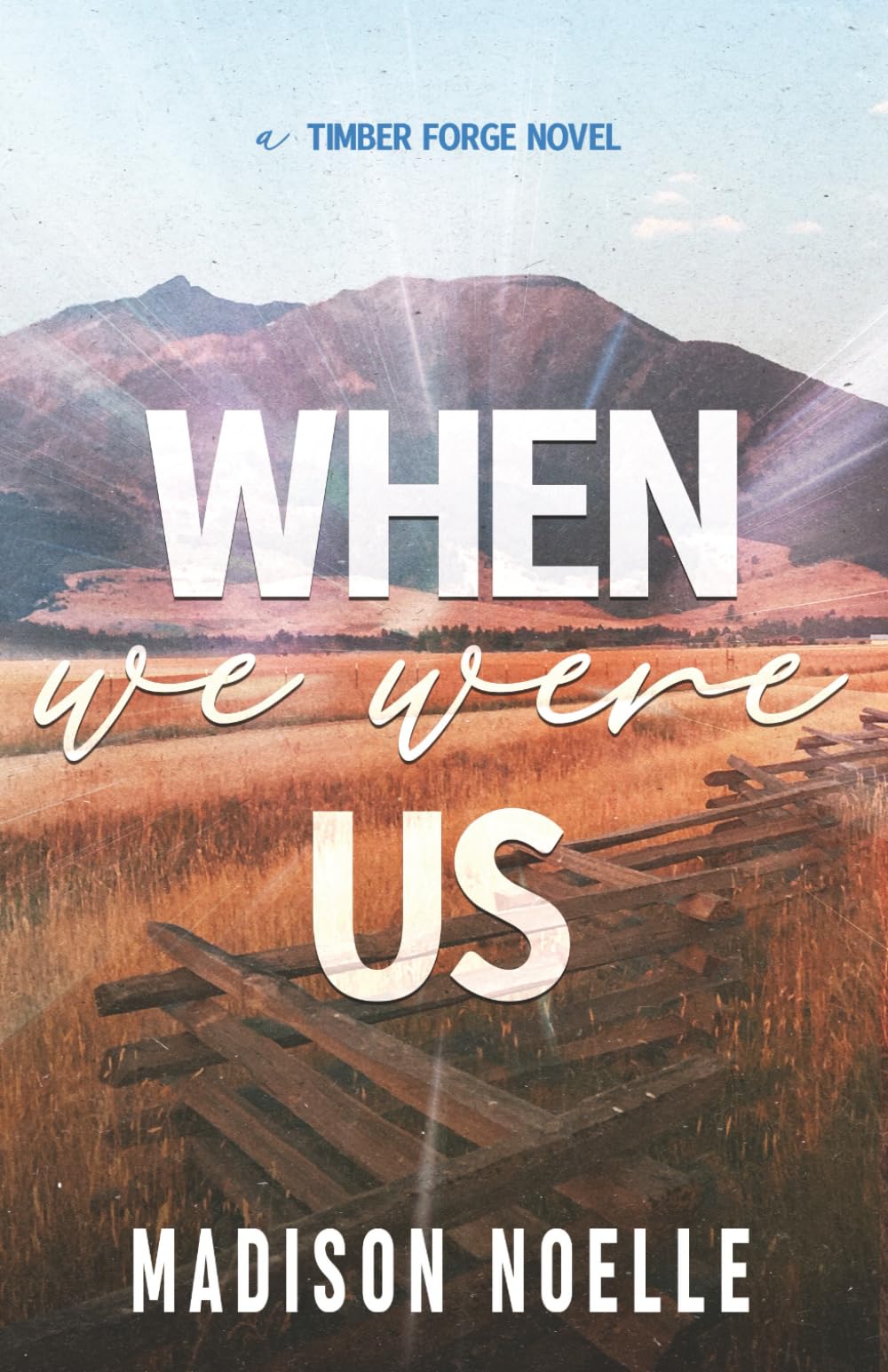 When We Were Us (A Timber Forge Series, Band 1) Contemporary Romance