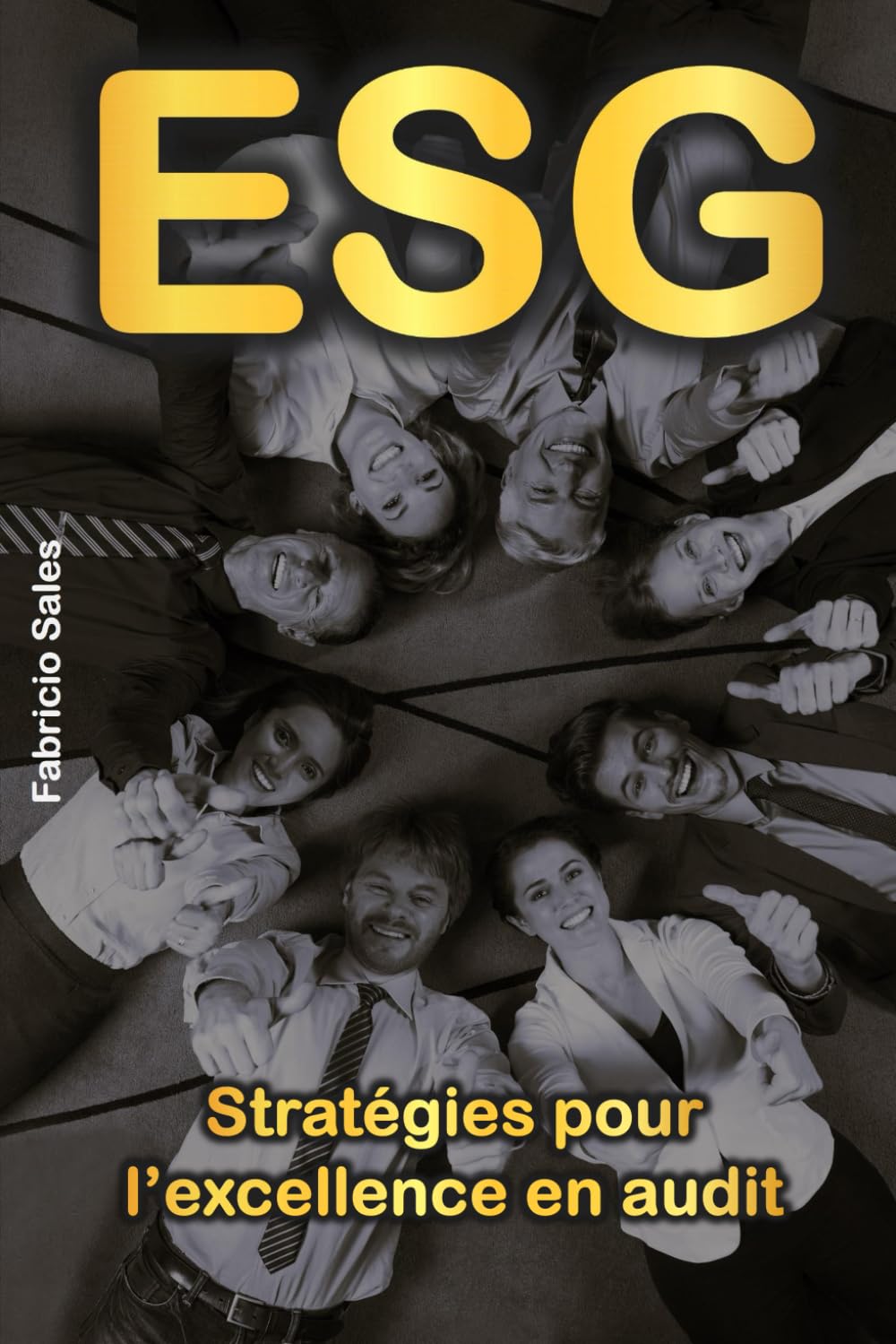ESG: Stratégies pour l’excellence en audit book