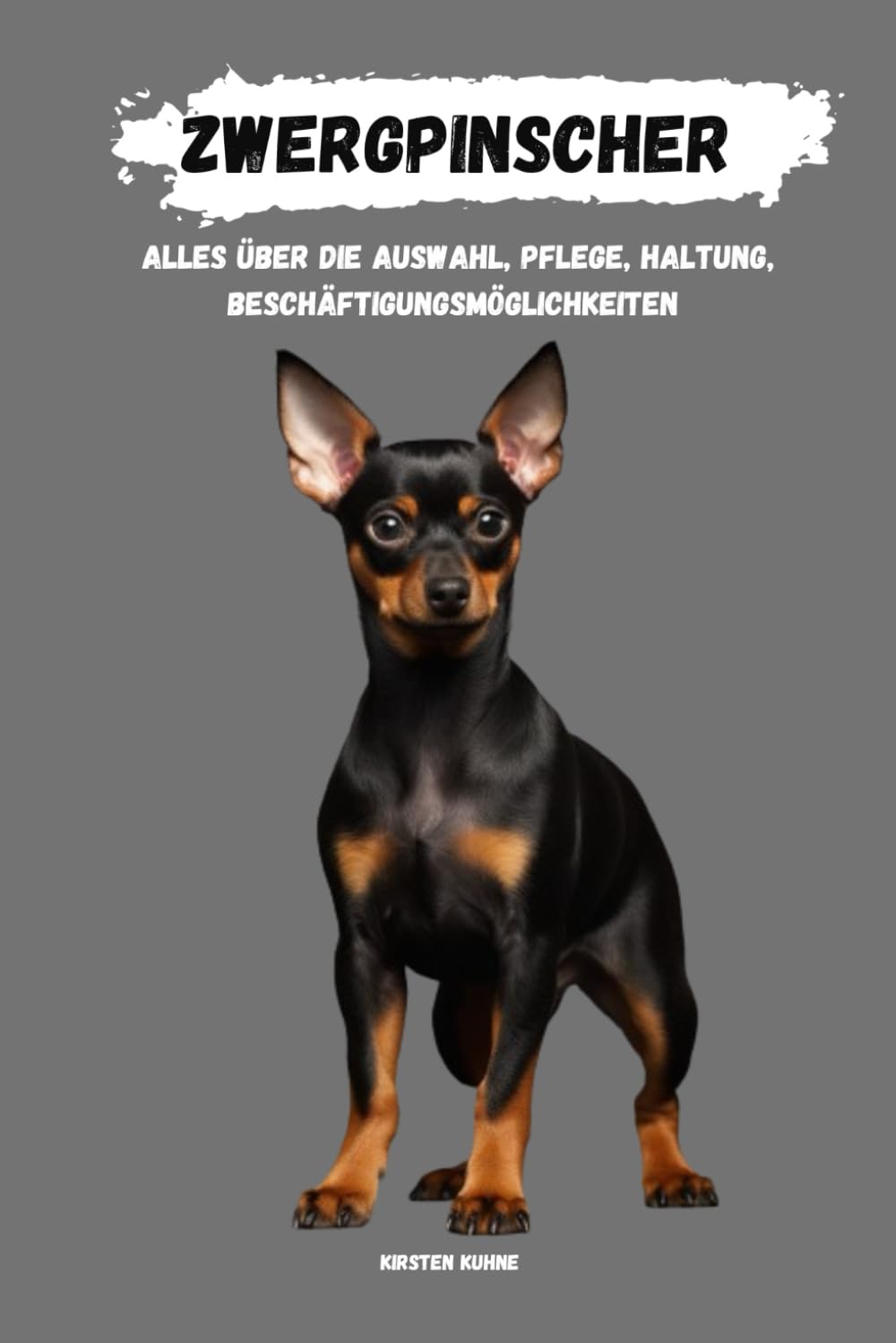 Zwergpinscher: alles über Auswahl, Haltung, Pflege, Beschäftigungsmöglichkeiten Pets