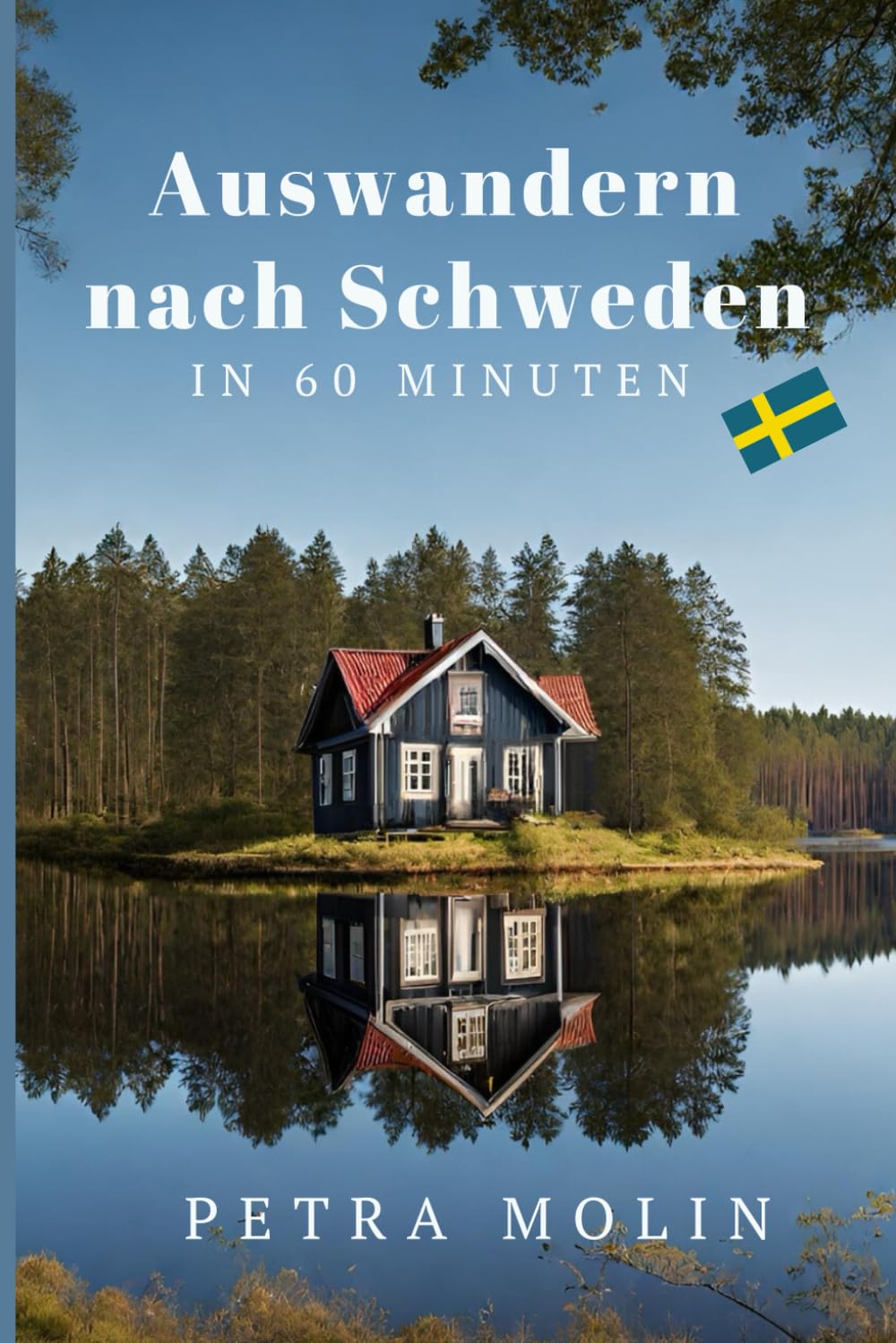 Auswandern nach Schweden in 60 Minuten (Schwedentraum) Politics & Society Books