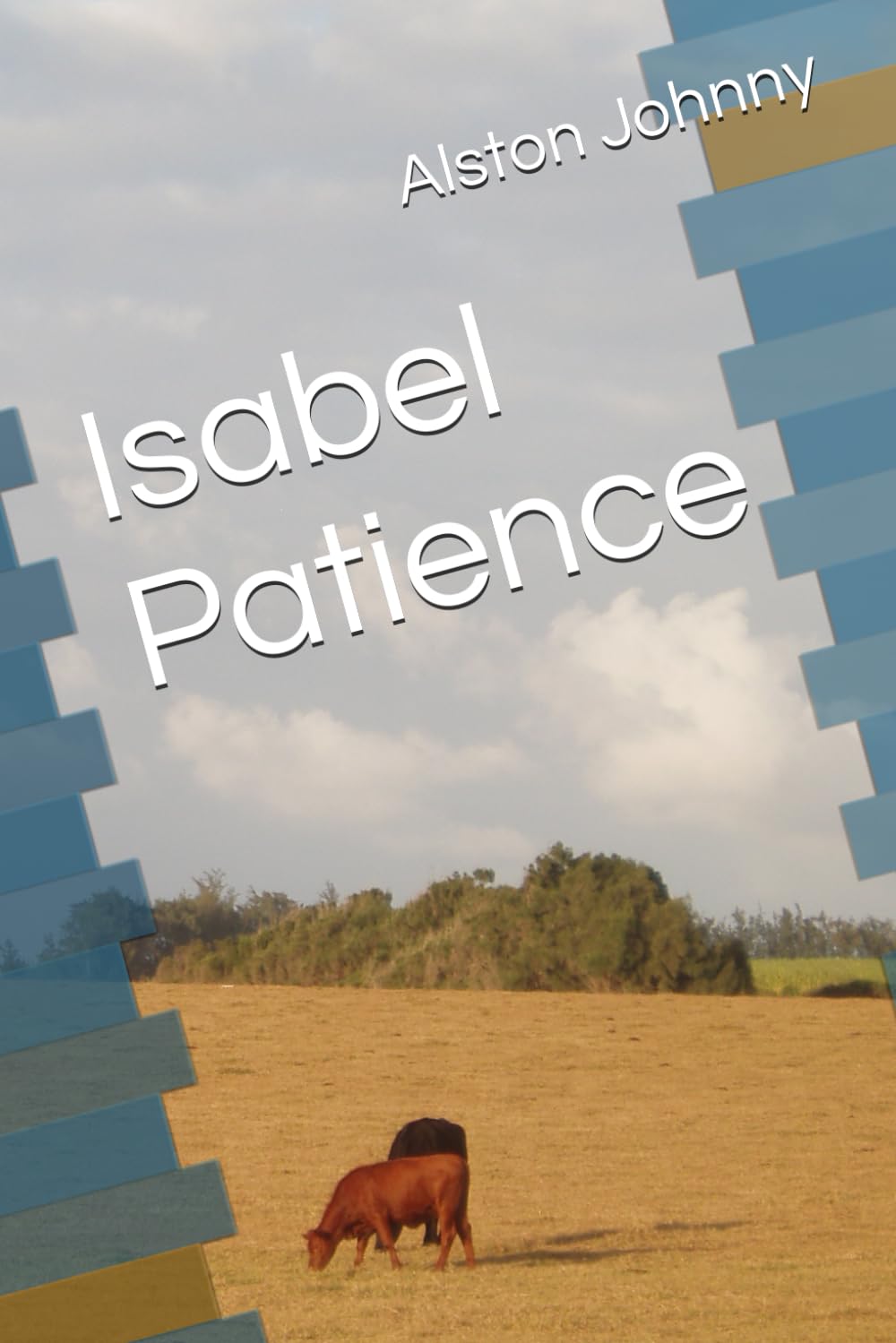Isabel Patience Books