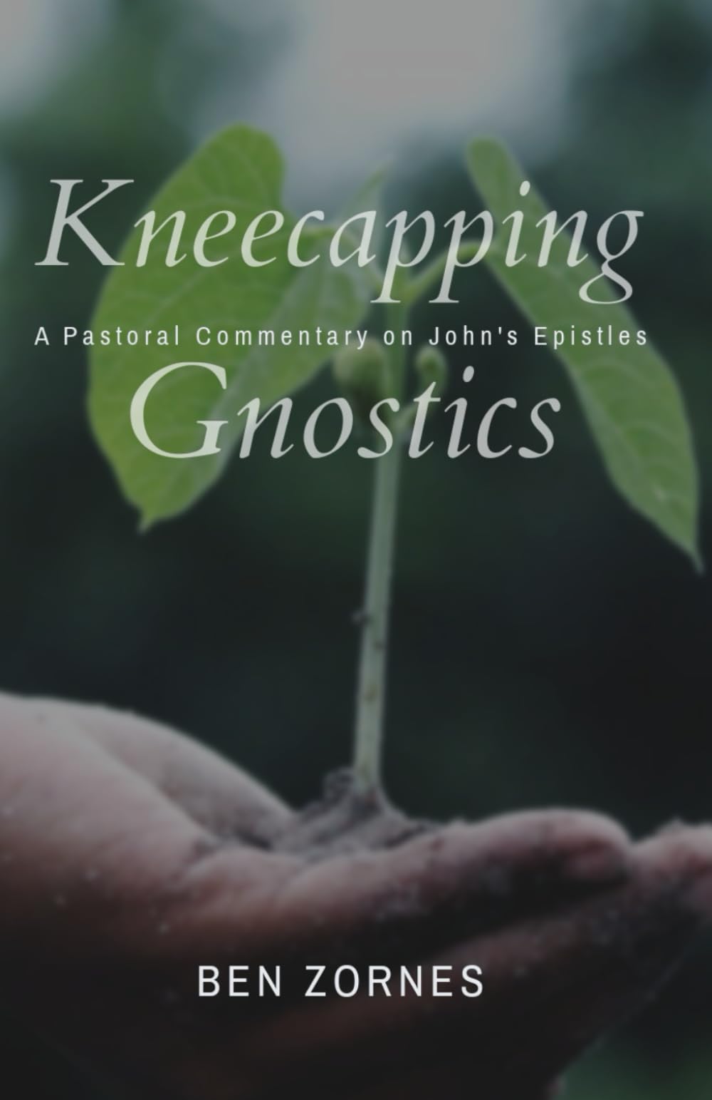 Kneecapping Gnostics: A Pastoral Commentary on John's Epistles book