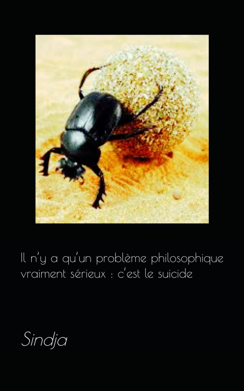 Il n’y a qu’un problème philosophique vraiment sérieux : c’est le suicide. book