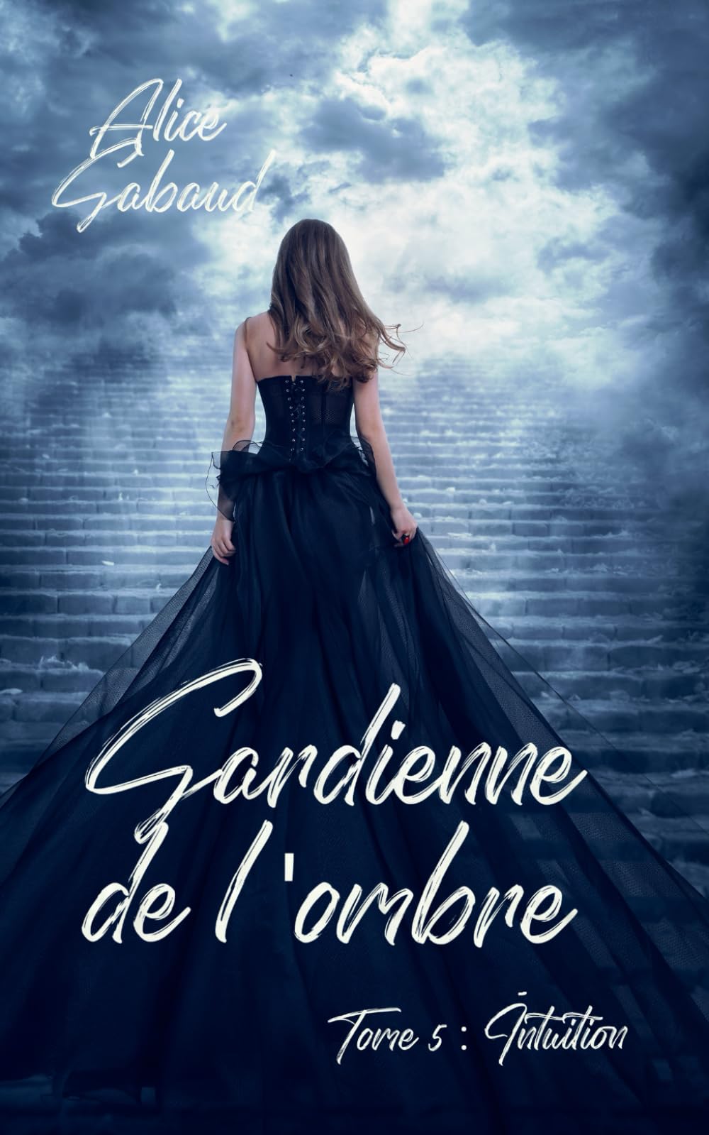 Gardienne de l'ombre: Tome 5 : Intuition book