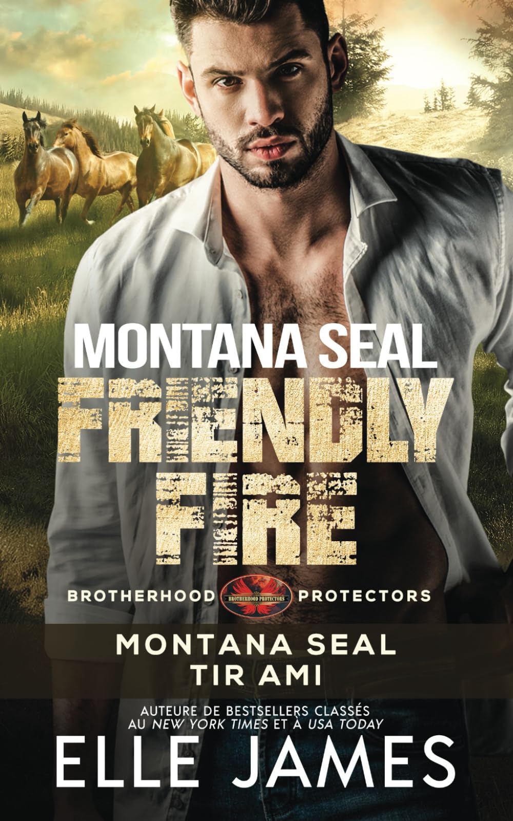 Montana SEAL Friendly Fire: Montana SEAL Tir Ami book