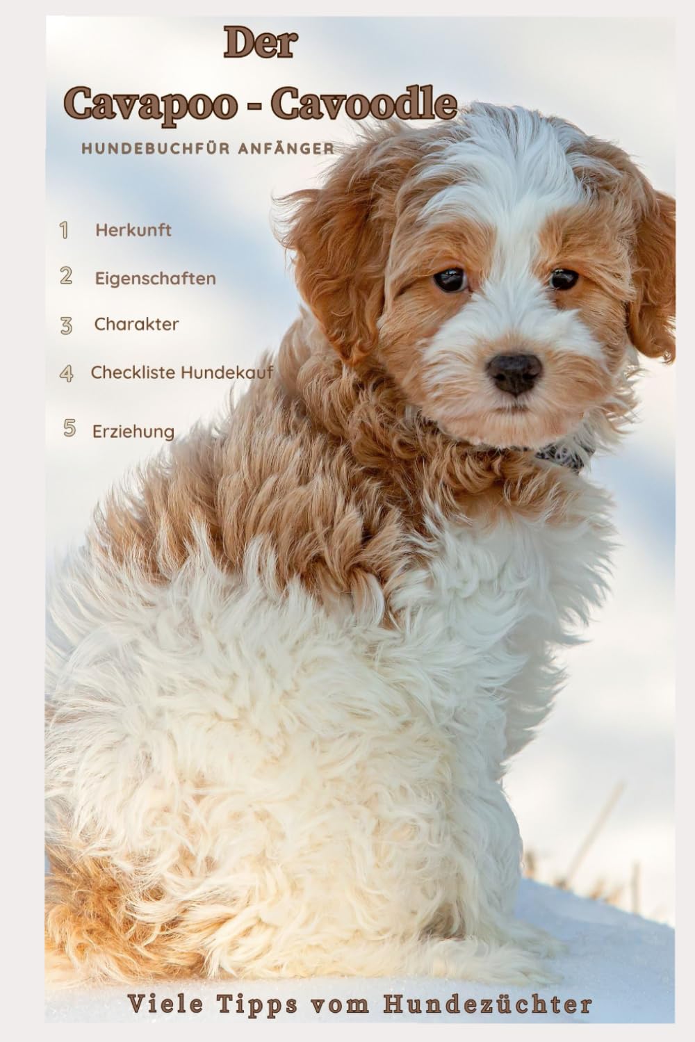 Der Cavapoo - Cavoodle, Cavalier King Spaniel x Kleinpudel, Rasse-Beschreibung - Portrait, Charakter, Eigenschaften, Haltung, Erziehung, Gesundheit: ... von einer langjährigen Hundezüchterin book