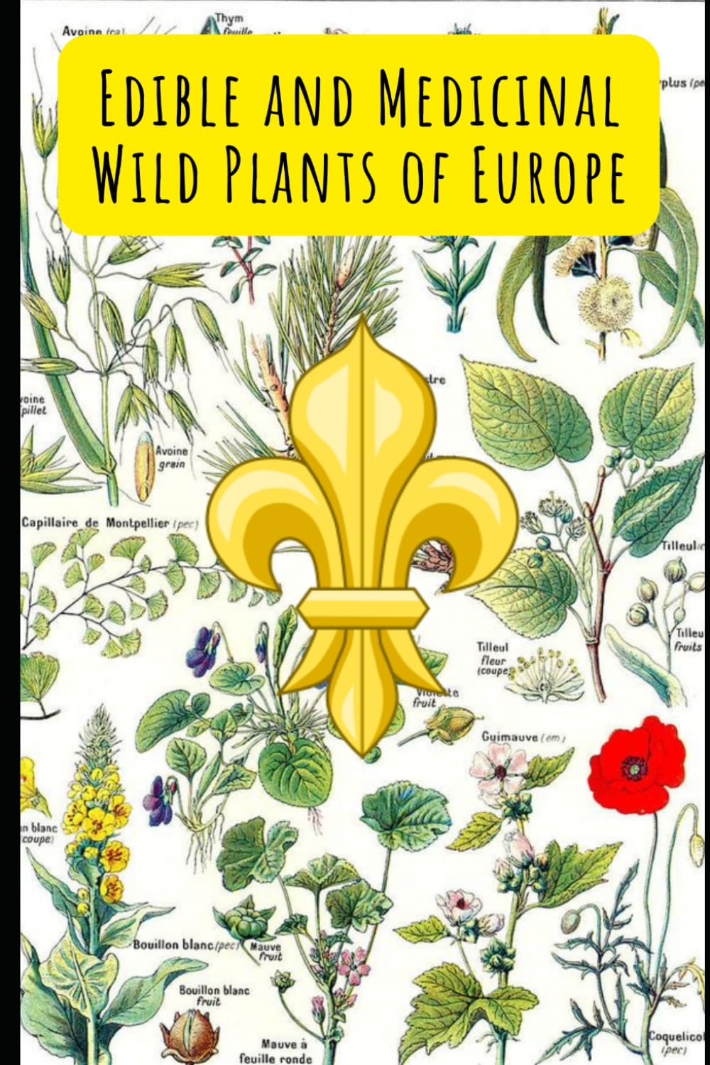 Edible and Medicinal Wild Plants of Europe Garden & Plants