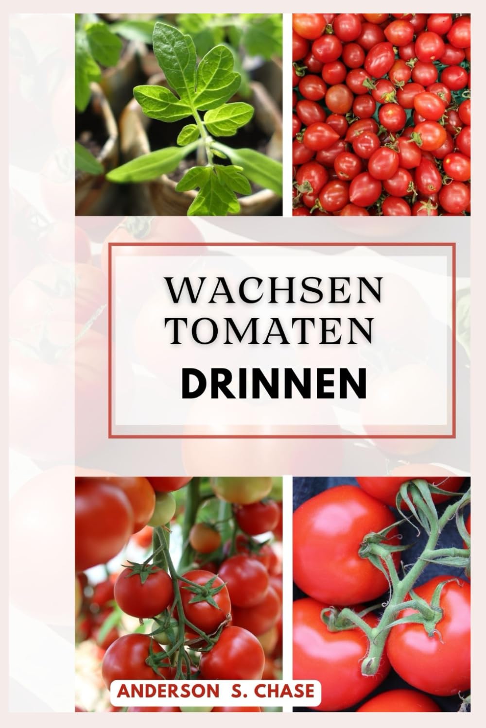 Wachsen Tomaten Drinnen: Einfache Schritte zum Anbau von Tomaten auf kleinem Raum (Gemüse im Topf und Behälter anbauen) Garden & Plants