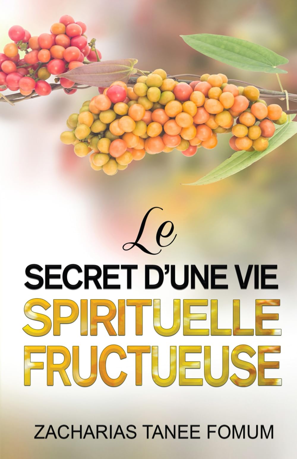 Le Secret d’une Vie Spirituelle Fructueuse book