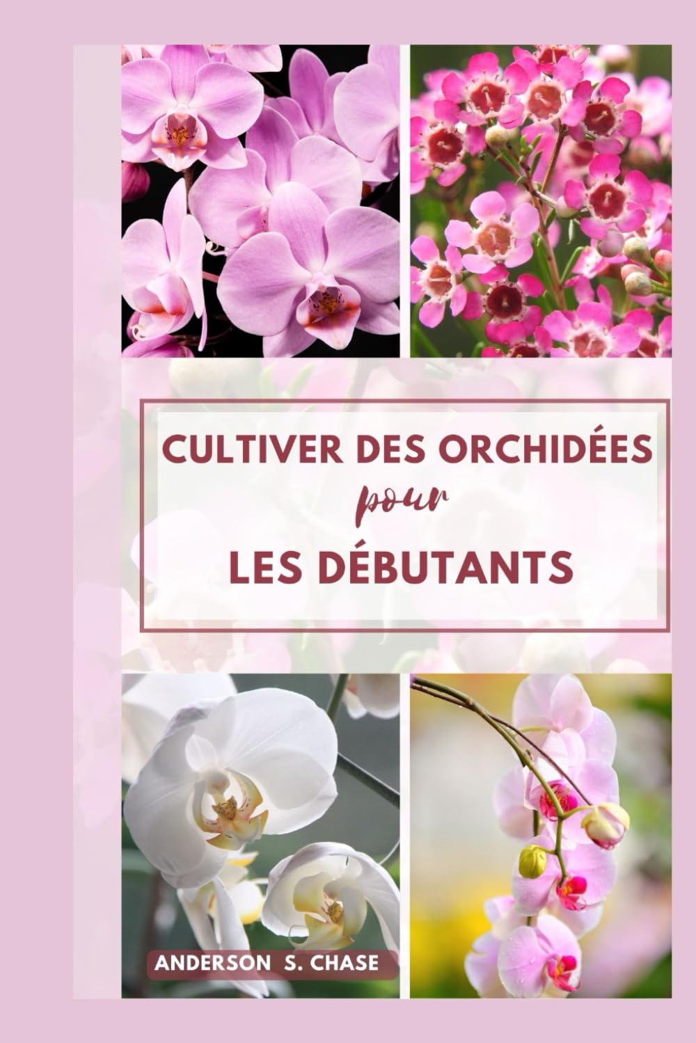 Cultiver des orchidées pour les débutants: Facile Étapes par étapes guide sur la façon de grandir et soins pour les orchidées à la maison book