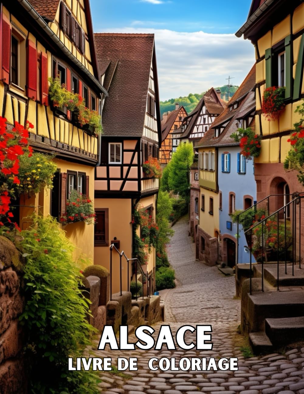 L'Alsace en Coloriage: Livre de coloriage book