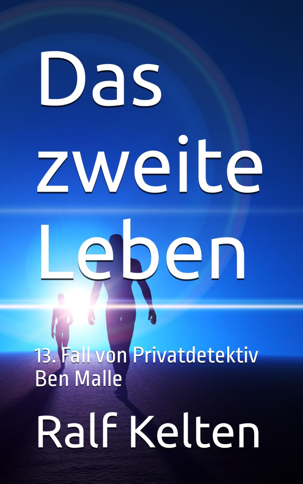 Das zweite Leben: 13. Fall von Privatdetektiv Ben Malle book