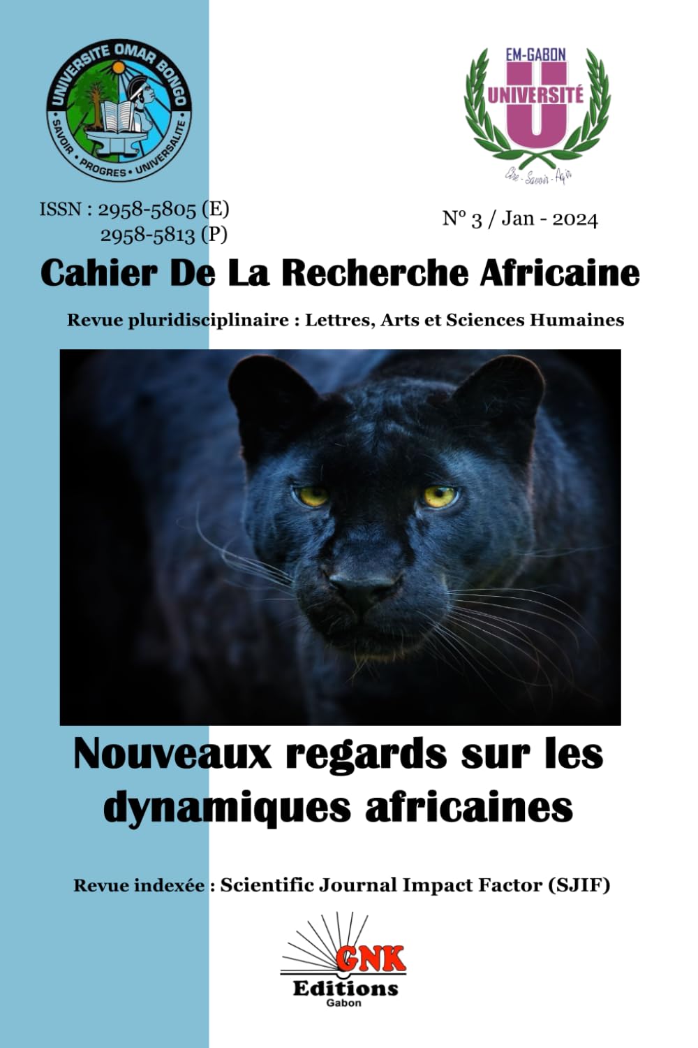 NOUVEAUX REGARDS SUR LES DYNAMIQUES AFRICAINES book