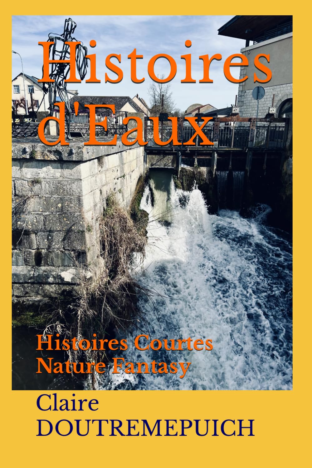 Histoires d'Eaux: Histoires Courtes Nature Fantasy book