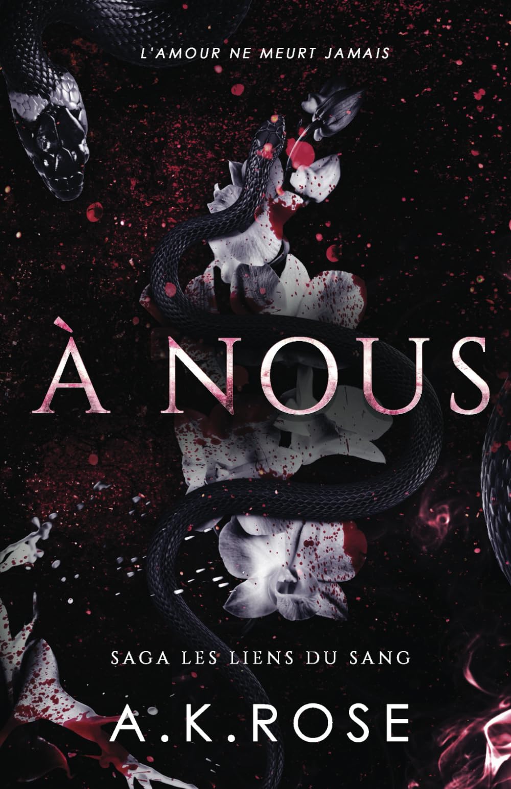 À Nous (Saga Les liens du sang, Band 3) Eroticism